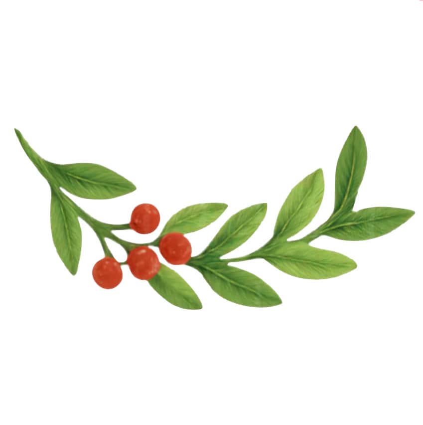 BACCHE ROSSE